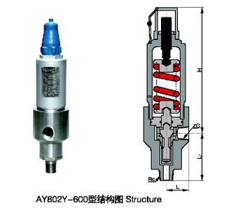 AY802Y-600安全溢流閥